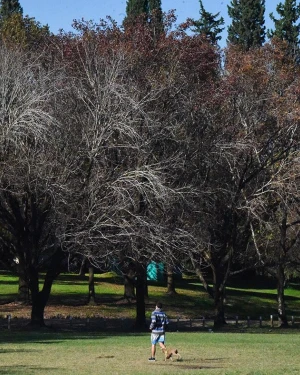 El otoño se hace esperar en Tucumán